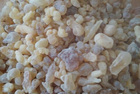 FRANKINCENSE-BOSWELLIA-CARTERII